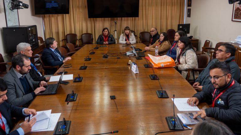 RegiónHOY: Locatarios afectados por siniestro en Illapel se reúnen con ministro de Economía para avanzar en soluciones