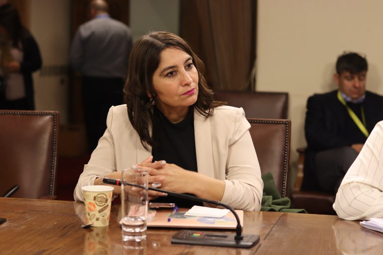 Diputada Castillo oficia a la Superintendencia de Educación Superior por millonario sueldo de Marcela Cubillos