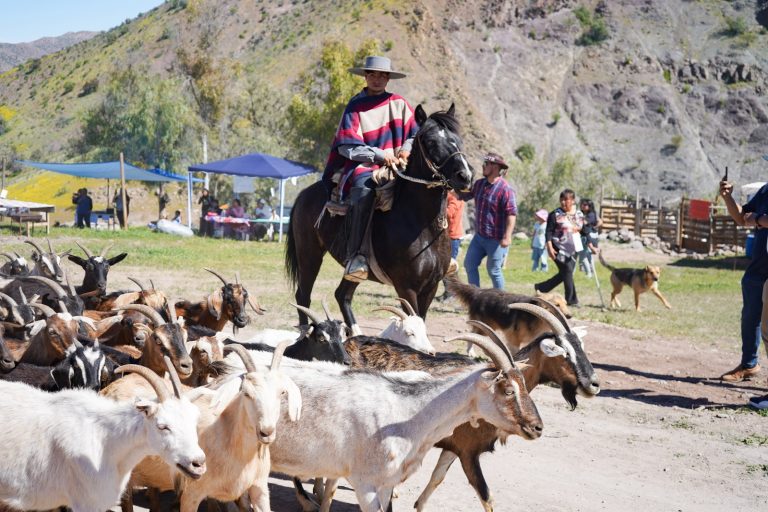 Al ritmo de la cueca Piedras Bonitas celebró la primera versión de la Fiesta de la Trashumancia