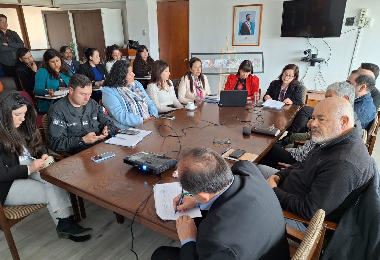 Compromiso por la reinserción juvenil se consolida a un año del primer Comité Operativo Regional