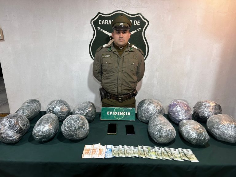 Más de 12 kilos de droga decomisada y dos detenidos en control nocturno en Pichidangui