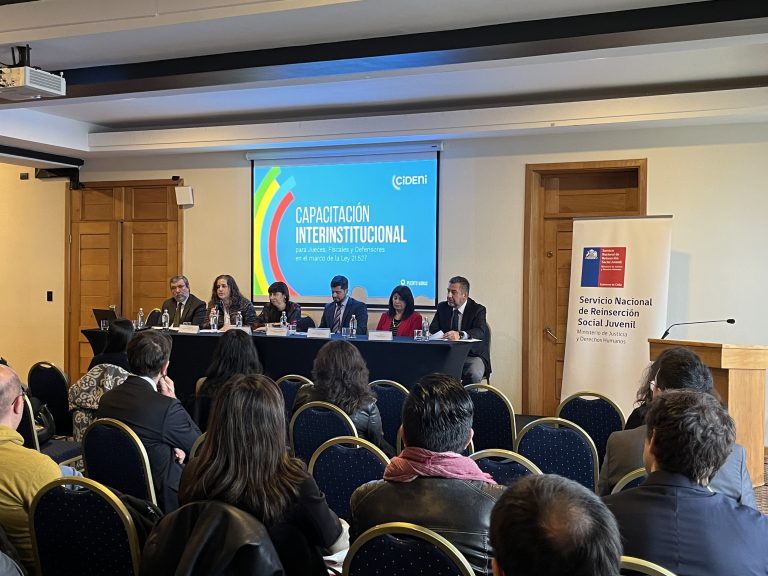 Profesionales del Servicio de Reinserción Juvenil Coquimbo entregan su experiencia en capacitación al sistema judicial en Los Lagos