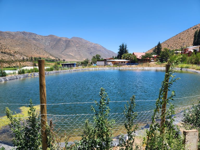Monte Patria: Pequeños regantes aseguran producción al ampliar embalse de regulación corta