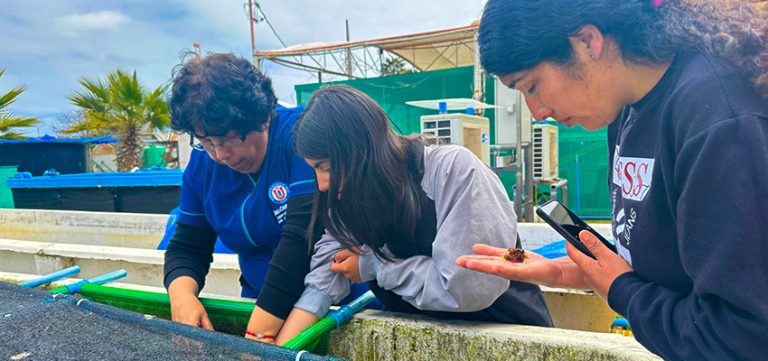 RegiónHOY: Liceo de Canela impulsa el uso eficiente del agua y fomenta el emprendimiento en jóvenes