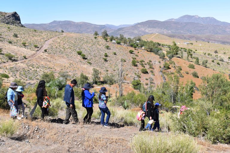 Comunidad Diaguita de Combarbalá trabaja por preservar flora nativa
