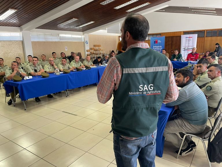 Autoridades y servicios coordinan últimos detalles para el inicio de veranadas