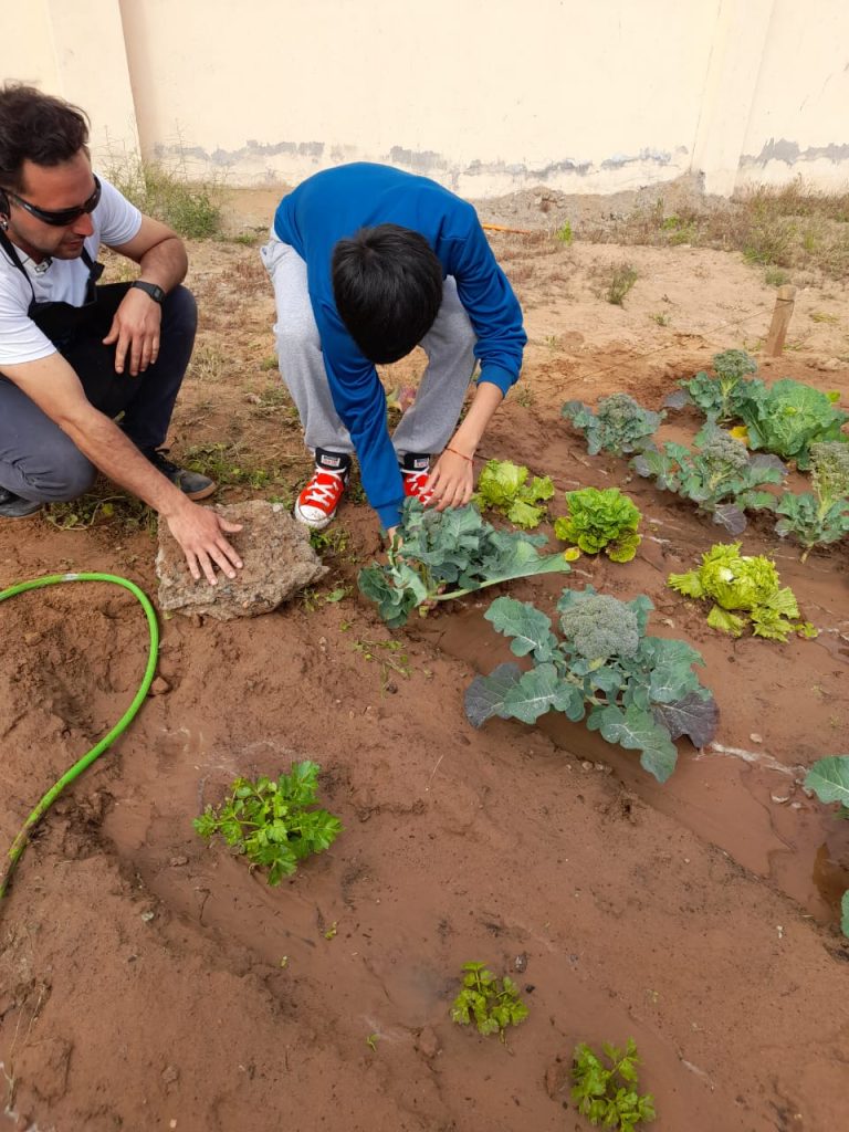 RegiónHOY: Jóvenes en proceso de reinserción dan vida a primer proyecto de huerta sustentable