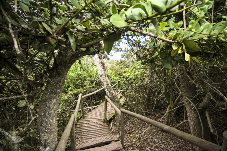Reserva de la Biosfera Fray Jorge aprobó Plan de Gestión 2025 – 2034