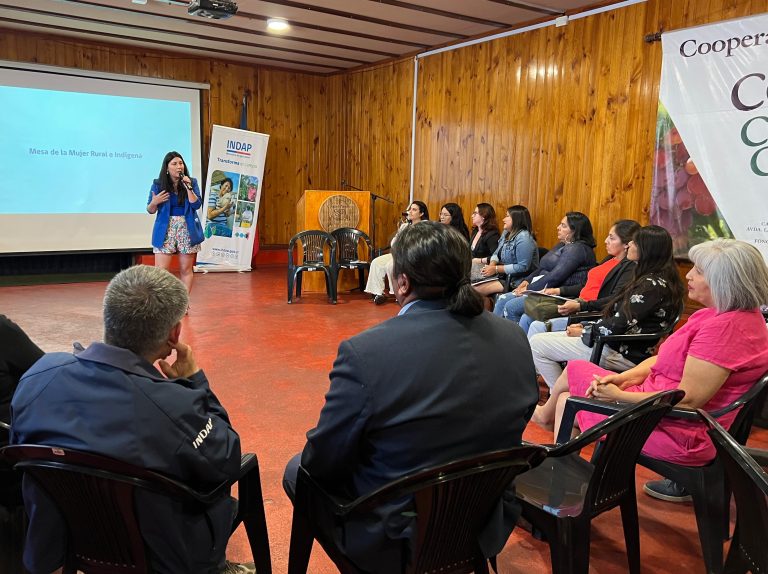 Usuarias de INDAP se reunieron para coordinar acciones que fortalezcan el trabajo de las campesinas durante el 2025