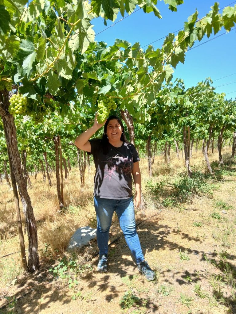 Conozca a Carla Miranda: la productora de pisco que hace del legado familiar un emprendimiento exitoso