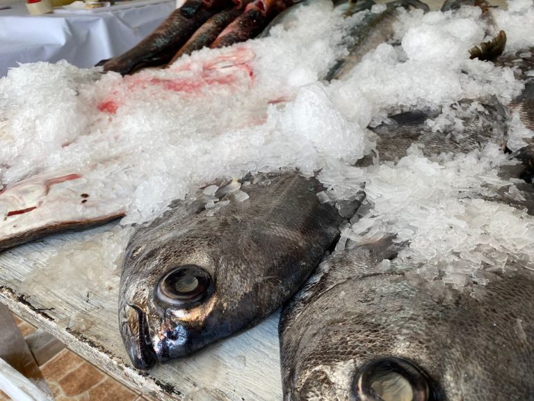 RegiónHOY: El 77% de los brotes de intoxicación alimentaria está relacionado con productos del mar