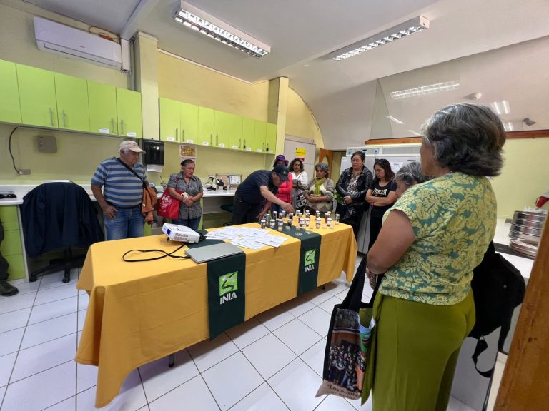 Agricultores del Limarí impulsan la multiplicación de semillas tradicionales