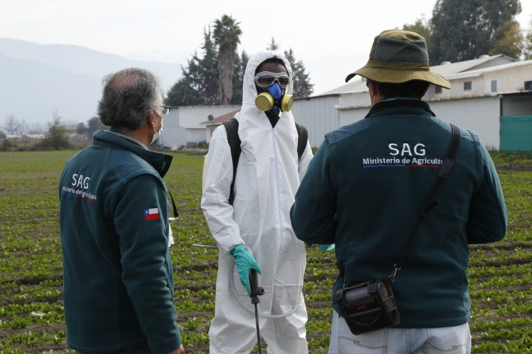Prohíben tres plaguicidas por ser altamente peligrosos para la salud y el medio ambiente