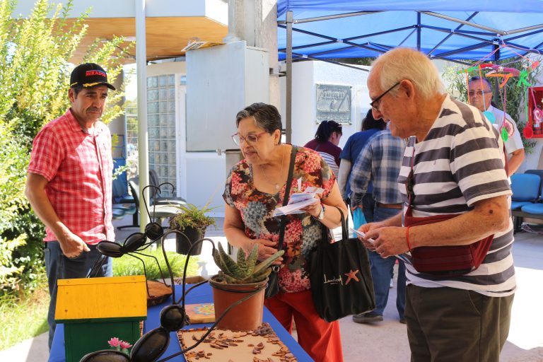 Usuarios del Programa Ambulatorio Básico de Ovalle presentan sus proyectos de Arteterapia