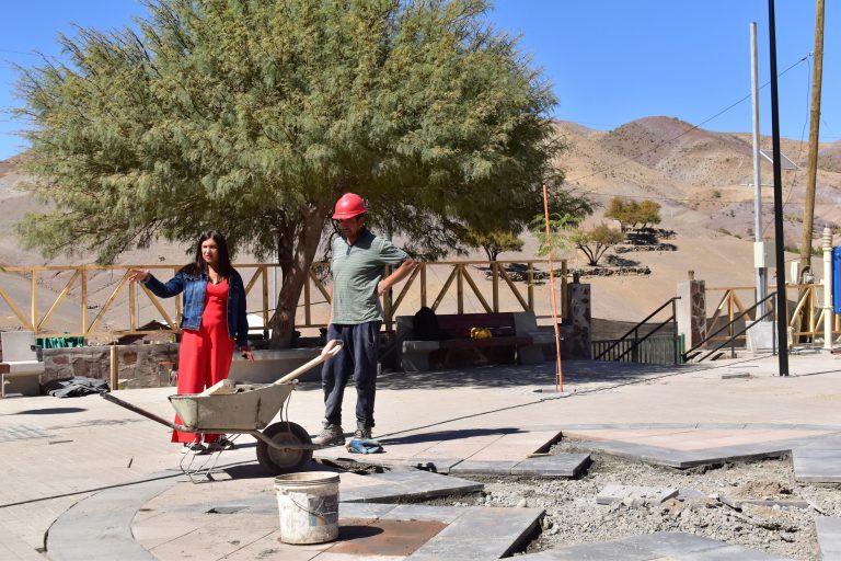 Concejo Municipal de Río Hurtado inspeccionó en terreno obras en ejecución en la comuna