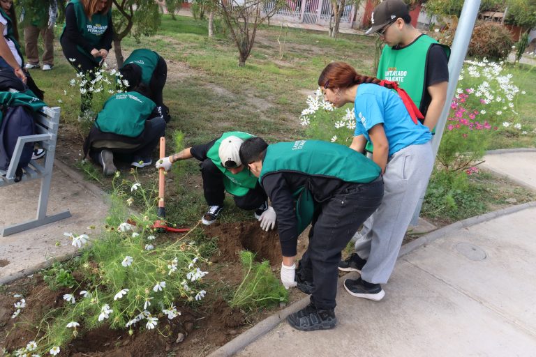 Estudiantes de primer año del IP-CFT Santo Tomás realizan limpieza y hermoseamiento de plaza de El Molino