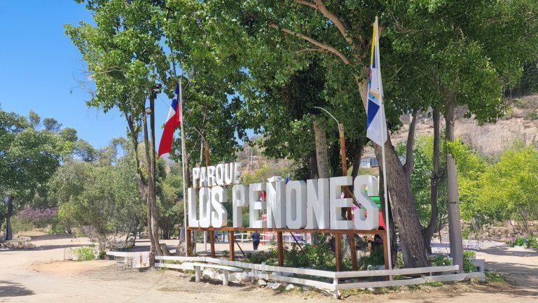 Impulsan campaña de reforestación «Deja tu huella»