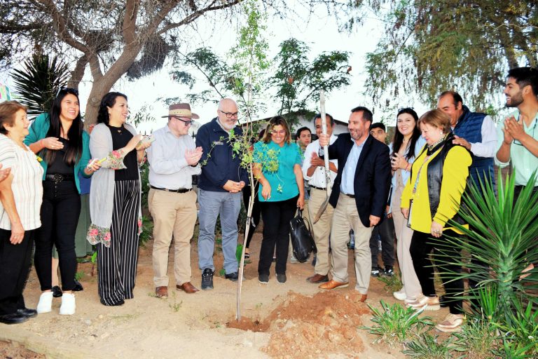 Punitaqui florecerá gracias a la Plaza Girasoles: Tendrá juegos musicales y especies de bajo consumo hídrico