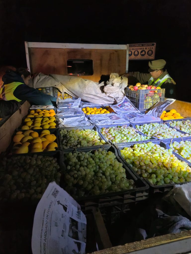 SAG intercepta 450 kilos de fruta en control carretero por Mosca de la Fruta en Río Hurtado