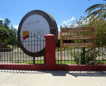 Intrigas y soplones al estilo Games Of Thrones: Reportaje de Ciper deja al descubierto conflicto en Cooperativa Capel