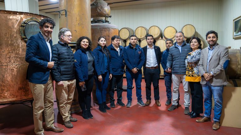 Este sábado se celebrará el Día Nacional del Pisco en Ovalle