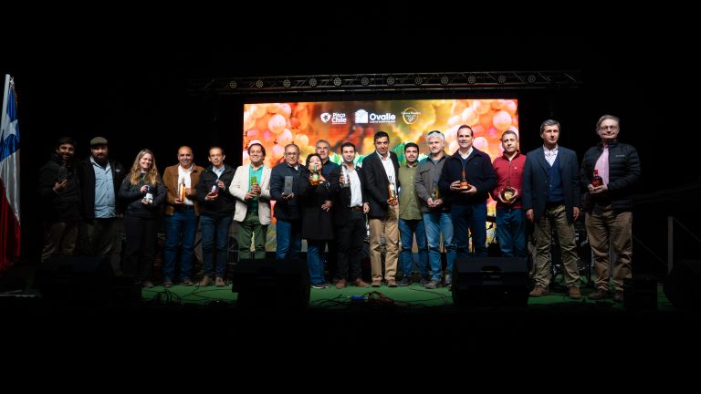 Celebración del Día Nacional del Pisco en Ovalle destaca por su éxito y alta convocatoria