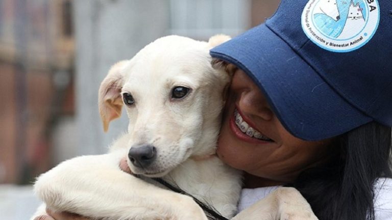 Invitan a taller gratuito sobre tenencia responsable de mascotas en Ovalle