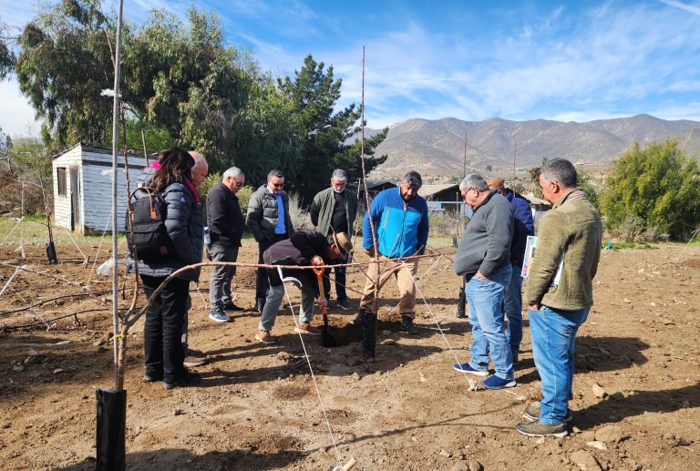 Agricultores de la Región de Coquimbo exploran riego subterráneo y energía solar para enfrentar la sequía