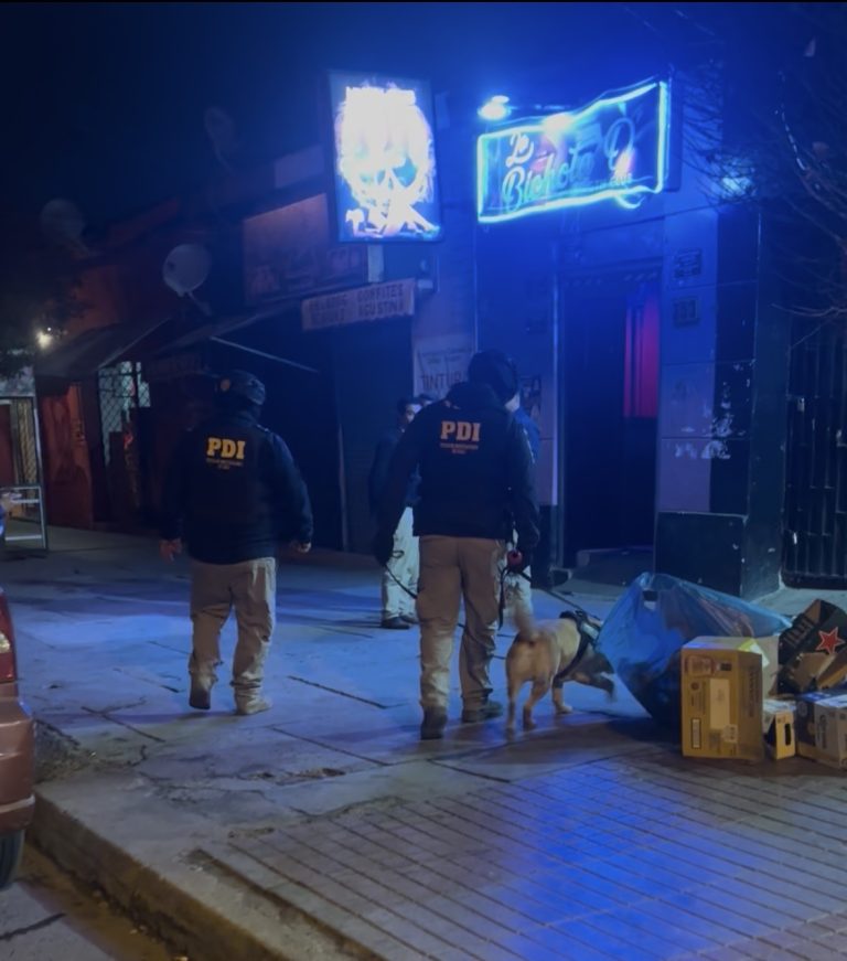 Mega operativo de fiscalización en Ovalle dejó detenidos, infracciones, clausuras y sumarios sanitarios
