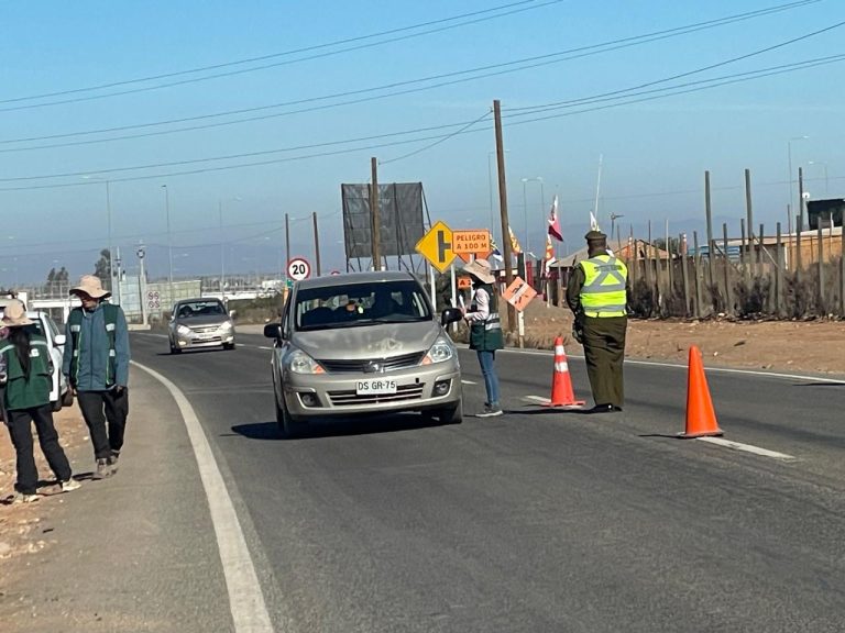 Más de tres toneladas de fruta se han interceptado en controles carreteros en la provincia del Limarí