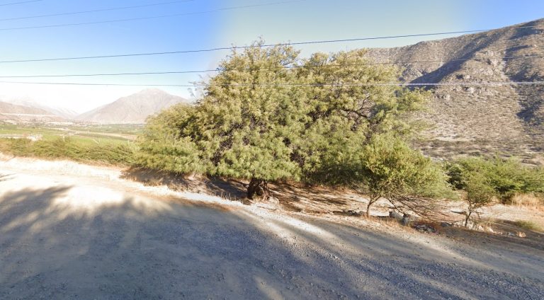 Con participación ciudadana impulsan proyecto “Zona descanso Algarrobo Río Rapel”