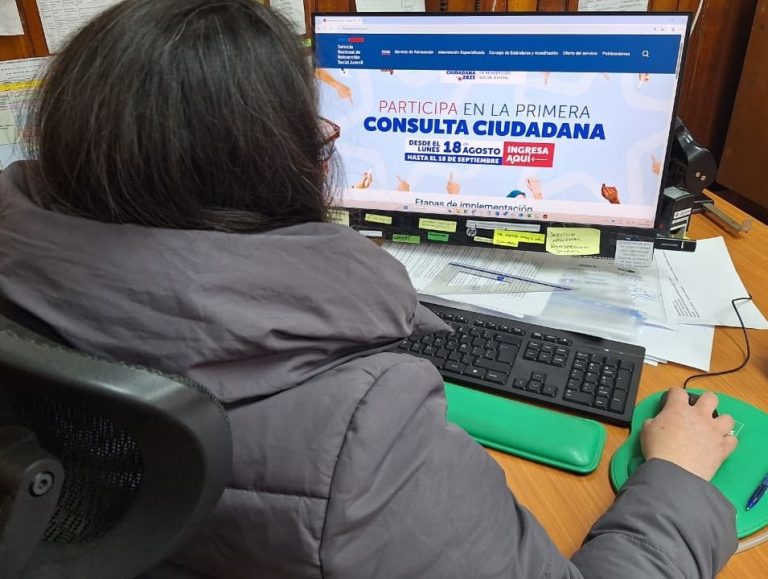 Servicio de Reinserción Social Juvenil lanza su primera Consulta Ciudadana Participativa