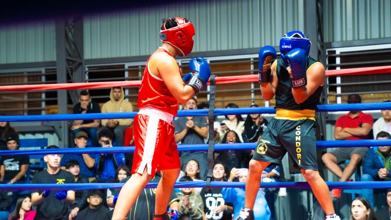 Realizarán gran velada de combates «Estrellas en el ring ovallino» el próximo sábado en la Alameda de Ovalle