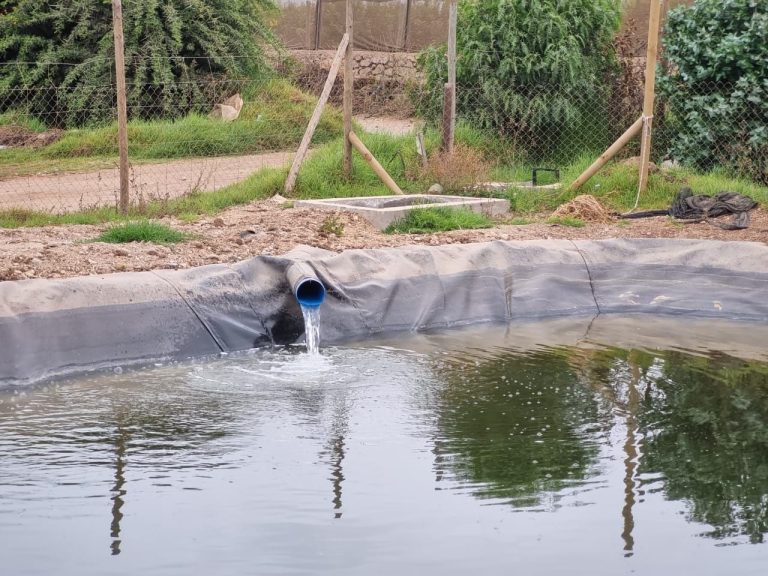 Nueva oportunidad para regantes del Limarí: Destinan mil millones para rescatar proyectos de riego no seleccionados