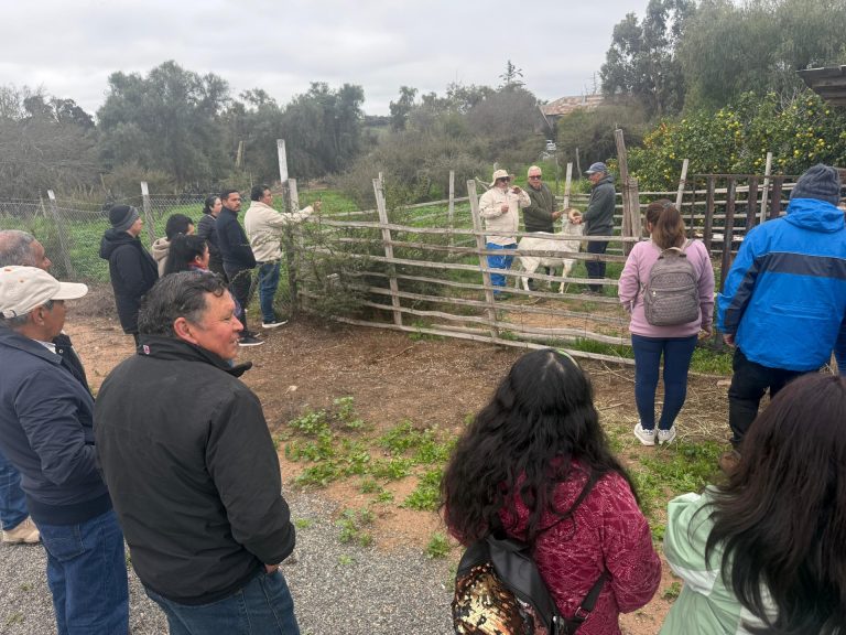 Crianceros se capacitan para evaluar la eficiencia reproductiva del macho