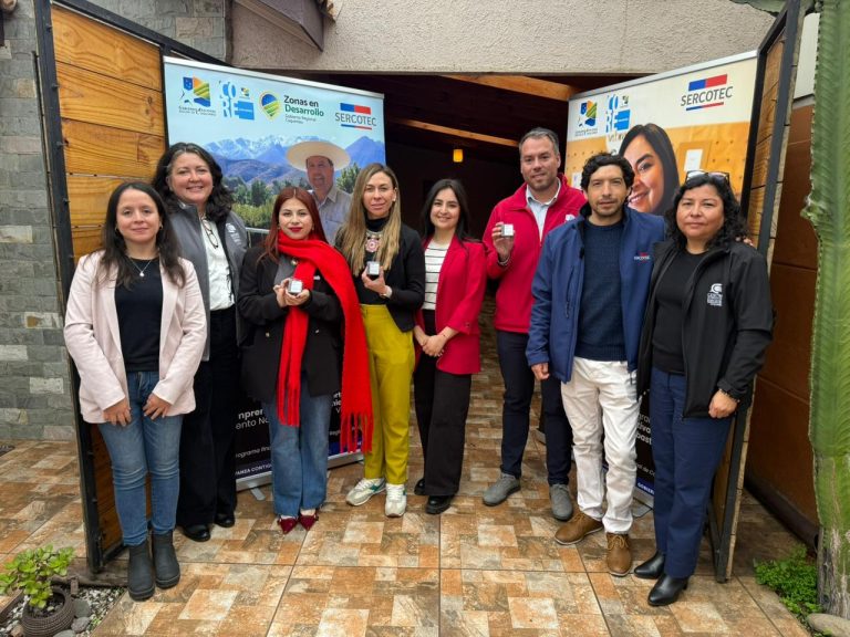 Lanzan nuevo “Capital Abeja Emprende” con 188 cupos para mujeres emprendedoras de la Región de Coquimbo