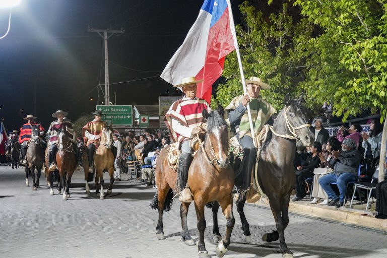 Creatividad y entusiasmo marcaron el acto y desfile de aniversario de Tulahuén