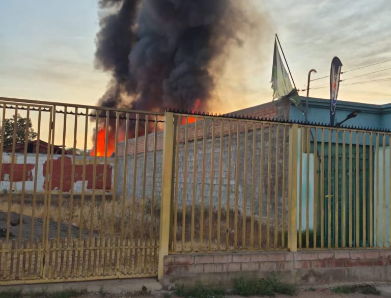 ACTUALIZADA: Incendio consumió ruco utilizado por personas en situación de calle en parte alta de Ovalle