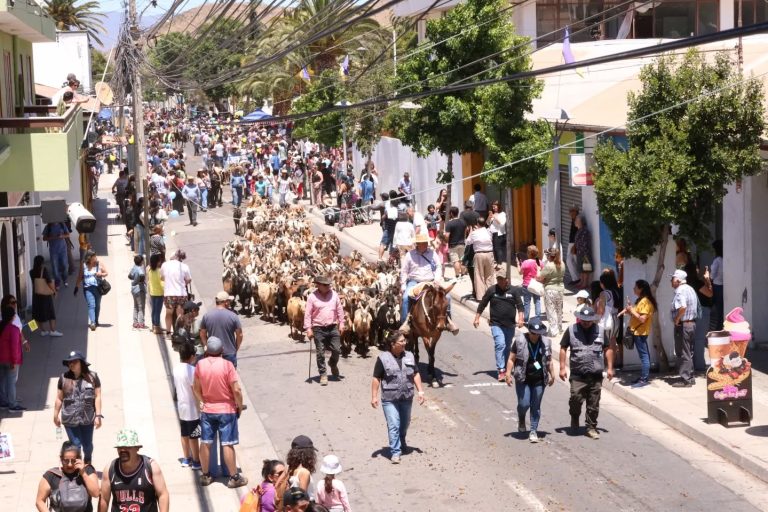 RegiónHOY: Invitan a celebrar la XV versión del Día de la Trashumancia y del Criancero Caprino en Illapel
