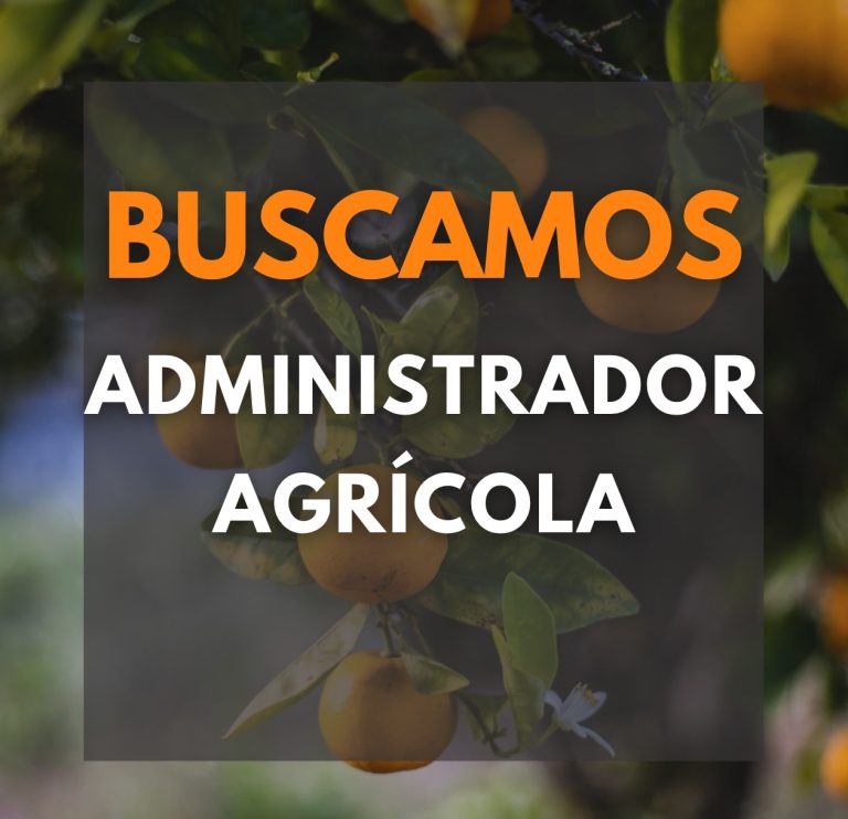 Oferta de empleo: Buscamos Administrador Agrícola