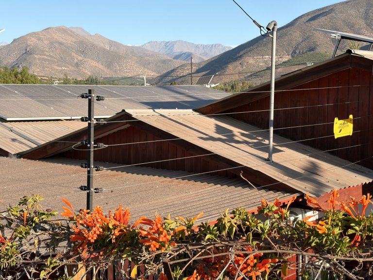 Seguridad y espacios comunitarios: Organizaciones de Flor del Valle Alto inauguran proyectos con recursos FONDEVE