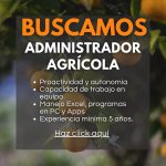 WhatsApp Image 2025-11-27 at 18.04.48