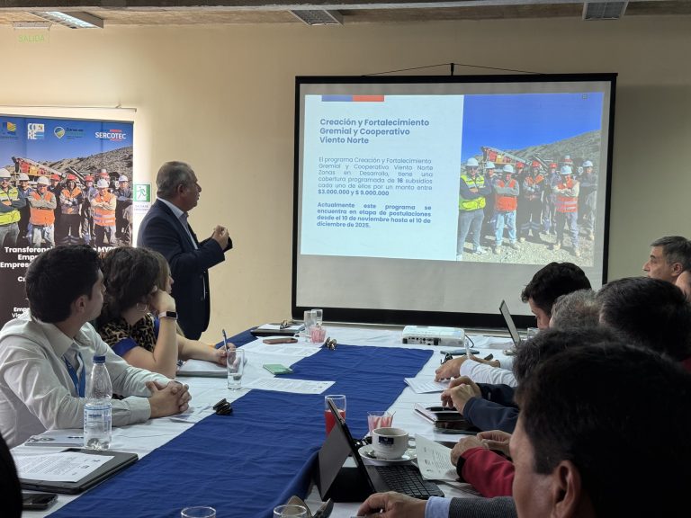 ¡Atención, Río Hurtado! Oportunidad para Emprendedores: Extienden plazo de fondo gremial hasta el 22 de diciembre