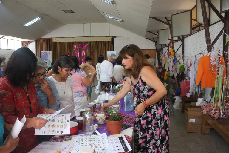 Expo Arte–Salud marcó emotivo cierre del proyecto comunitario “Luz de Amor” en Limarí