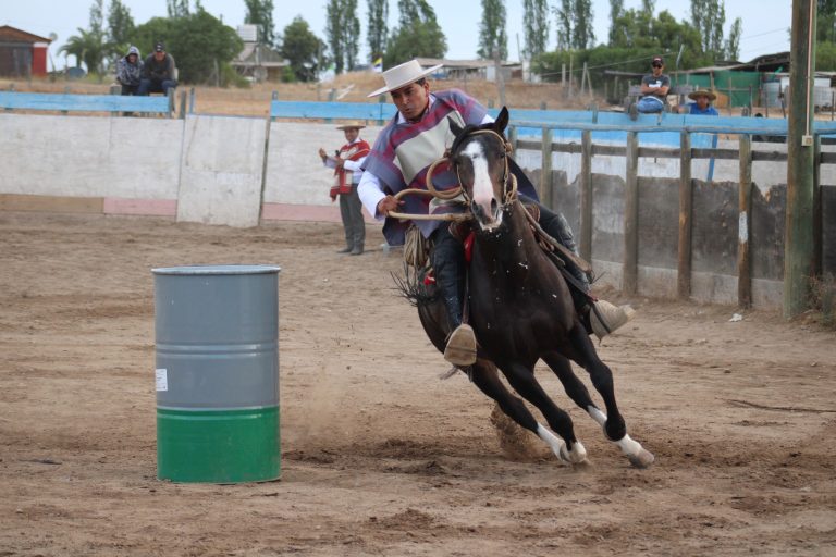 Caballos y Trashumancia: Presencia de criadores chilenos se consolida en la Fiesta del Criancero