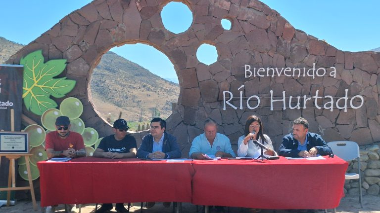 Más de 100 emprendedores estarán presentes en la Feria Costumbrista de Río Hurtado este fin de semana