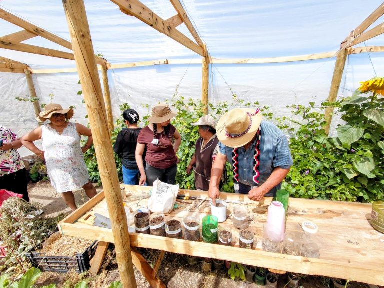 Organizaciones de la Región de Coquimbo se adjudican $48 millones del Fondo de Protección Ambiental 2026