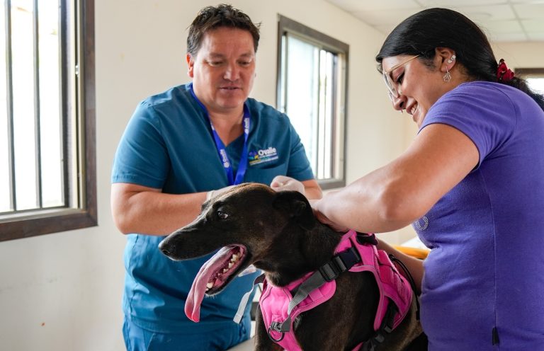 Exitoso operativo veterinario en la Población Magallanes Moure