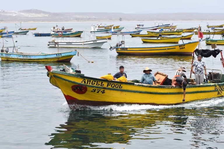 Tongoy comienza a reactivarse luego de una semana con «marea roja»
