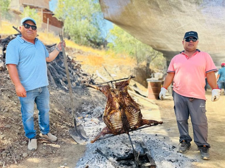 Turismo rural: Fiesta del Cabrito de Huatulame y Expo Rural de Rapel reunieron a cientos de turistas, vecinos y comunidad